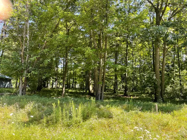 Questview Dr, Houghton Lake, MI 48629