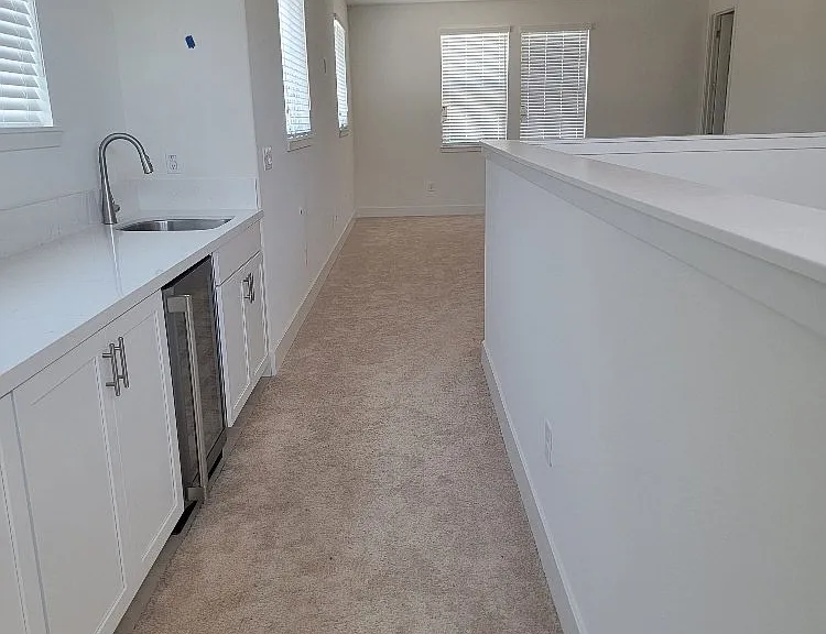 3035 Salt Wash Way — Photo 39