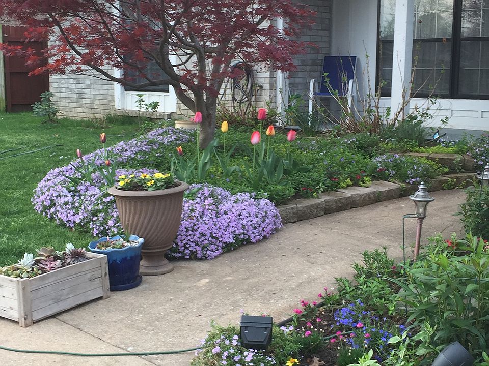 Front in spring