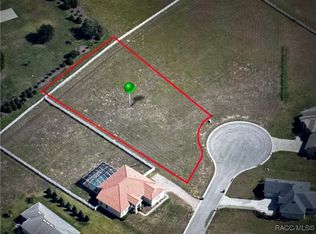 38 S Needles Point, Inverness, FL 34453