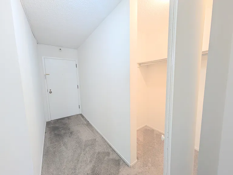 10 E Ontario St #1105 — Photo 11