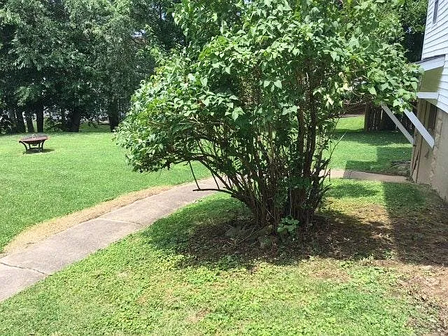 413 Orchard Ave — Photo 3