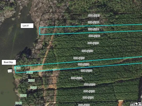 LOT 41 Birdsong Rd, Ebony, VA 23845