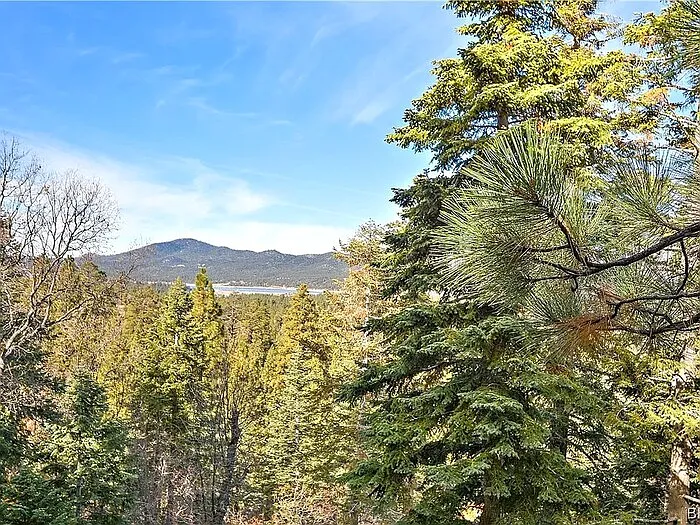 1219 Pigeon Rd — Photo 3