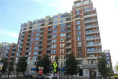 Eclipse on Center park