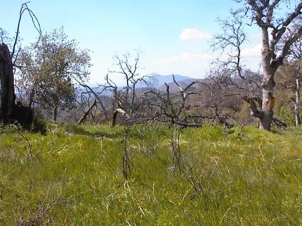 615 Wildmint Ln, Squaw Valley, CA 93675