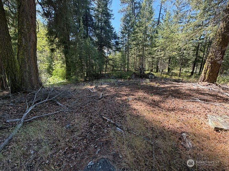 2nd image of 0 E Buttermilk Creek Road