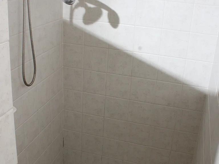 Master Bedroom shower