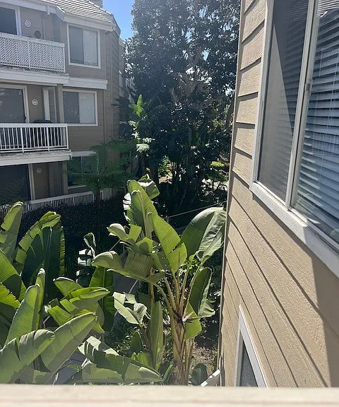 20191 Cape Coral Ln #3209 — Photo 10