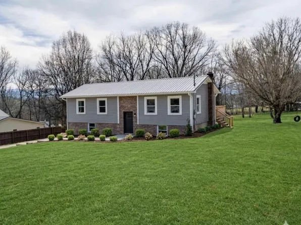 226 Dorothy Cir, Limestone, TN 37681