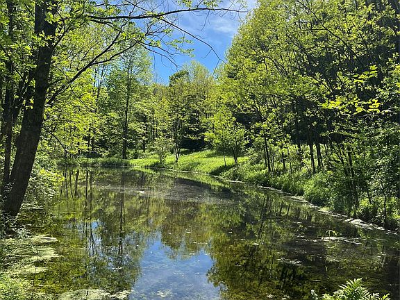 4th image of Lower Pond Dahlia Road W