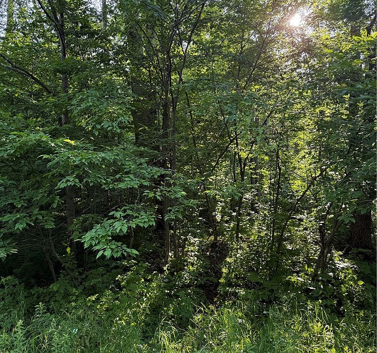 1st image of 0 N Mack Lake Road
