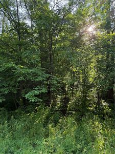 0 N Mack Lake Road, Trego, WI, 54888