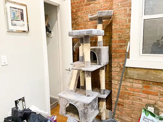 Rented by Simply Brooklyn Realty Inc | media 16