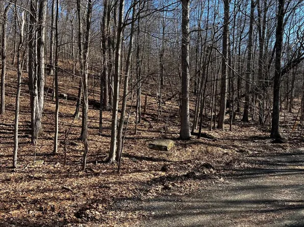 Berry Ln, Cresco, PA 18326