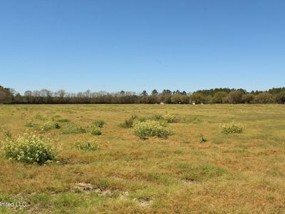 LOT 1 Ramie Farm Rd, Moss Pt, MS, 39562