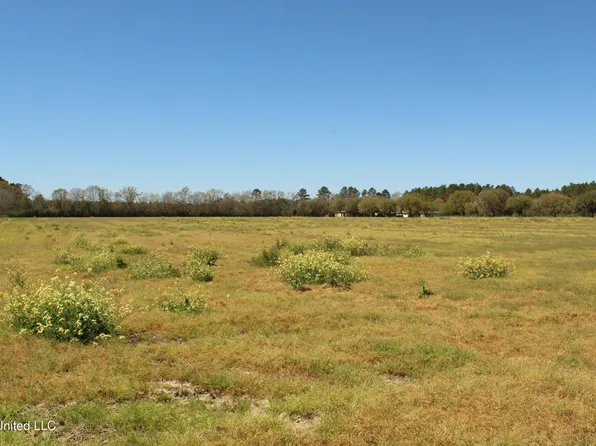 LOT 1 Ramie Farm Rd Lot 1, Moss Pt, MS 39562