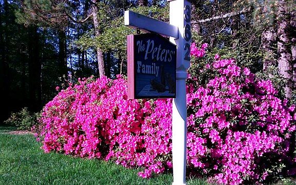3rd image of 362 Butler Dr