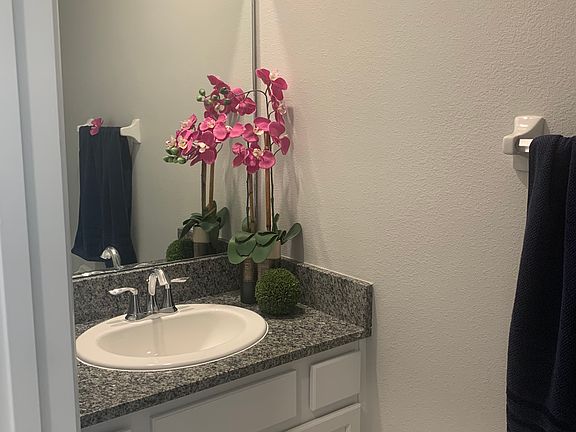 4th image of 2802 Midnight Pearl Dr