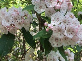 00 Pumpkintown Hwy, Pickens, SC 29671