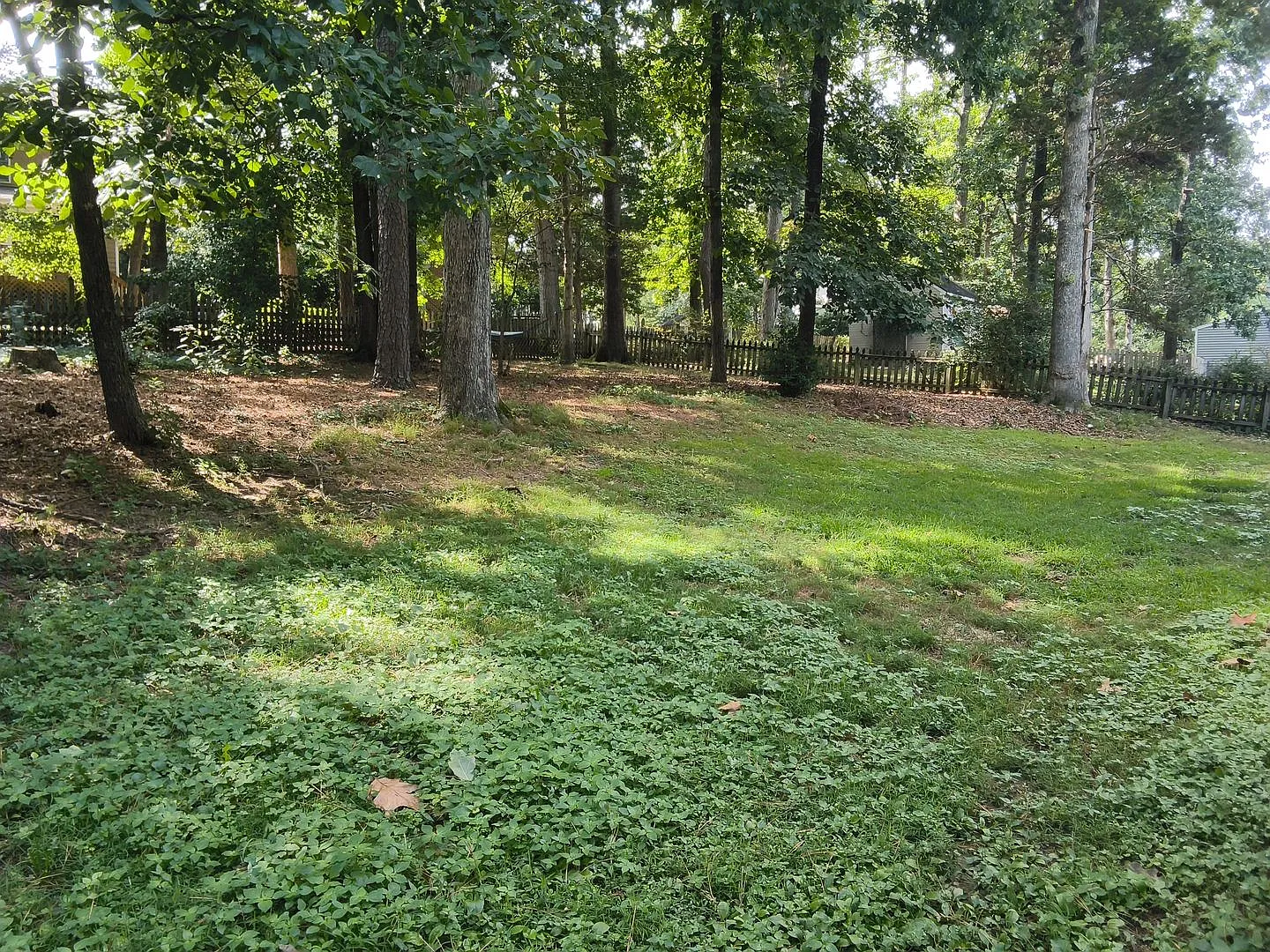 4 Bed 2.5 Bath Chesterfield -Triple Crown Subdivision — Photo 2