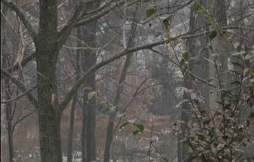 2nd image of 5 Sgt Parker Rd