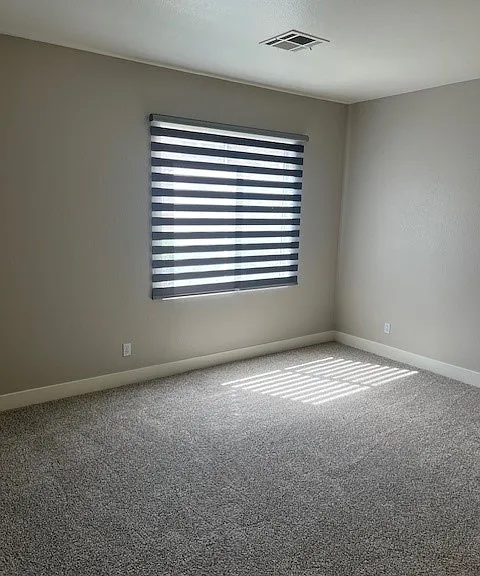 1067 Fennel Flower Ct — Photo 10