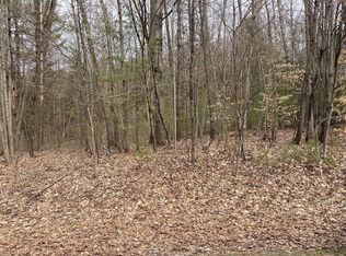 12941 Bowen Lake Dr NE, Gowen, MI 49326