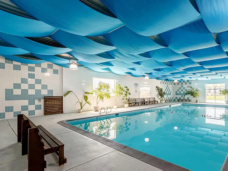 Play, Swim, Repeat