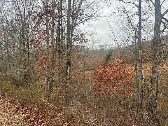 2nd image of High Meadows Ln