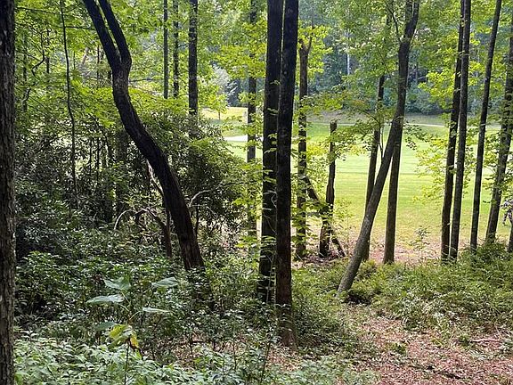 2nd image of 45/46R Keowee Trail