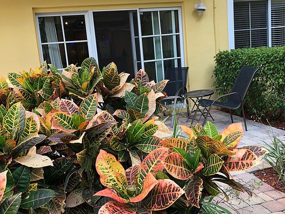 5th image of 1515 E Broward Blvd APT 119