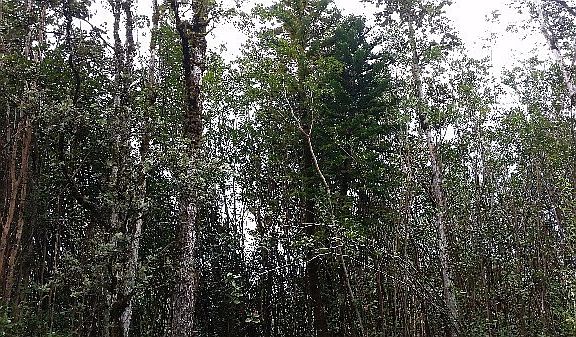 4th image of 16-1387 Road 4 #3668