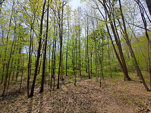 5th image of Tipsico Lake Rd Parcel A