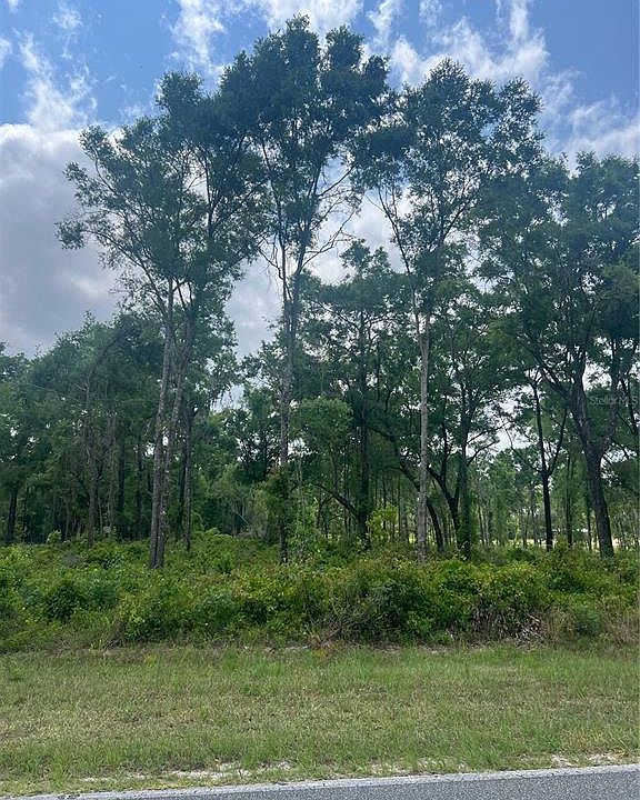 1st image of SW Ichetucknee Ave