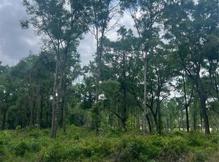 SW Ichetucknee Ave, Lake City, FL 32024