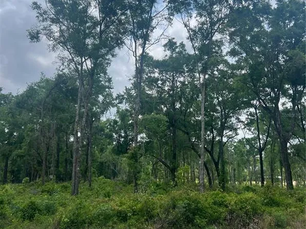 SW Ichetucknee Ave, Lake City, FL 32024