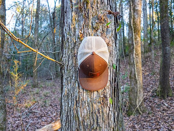 2nd image of 80/ACRE S Double Creek Rd