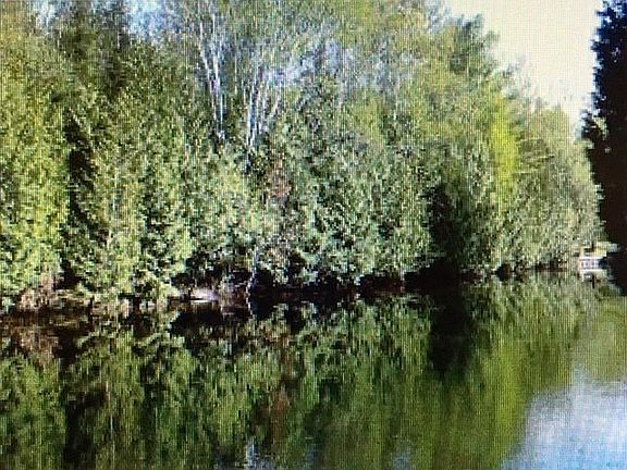 3rd image of 350 Turkey Creek Trl