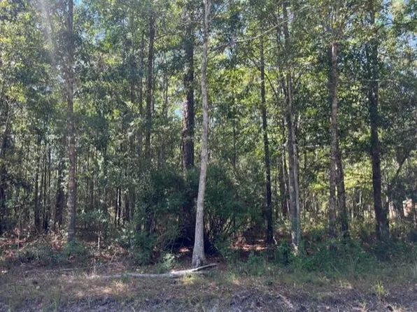 E Lincoln St, Bay Saint Louis, MS 39520