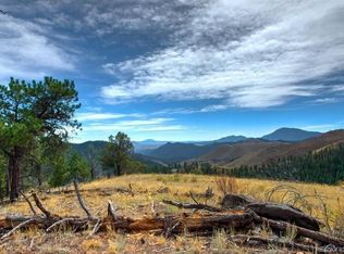 31625 Half Peak Trl, Pine, CO 80470