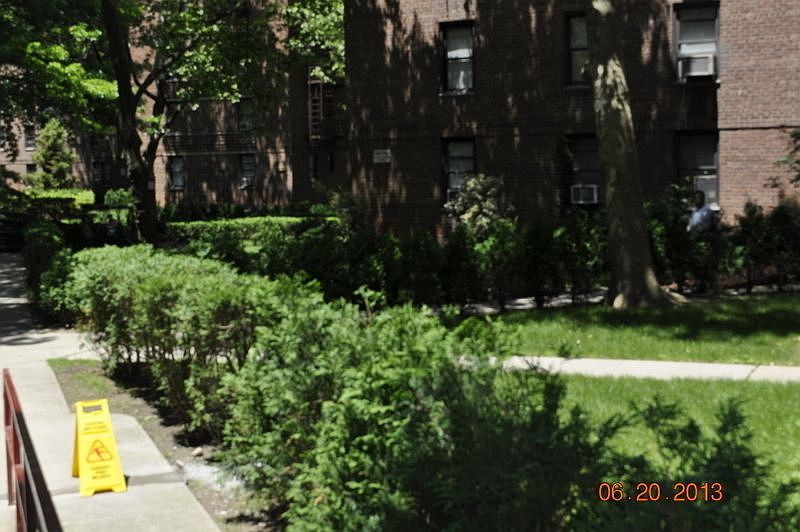 2nd image of 62-61 Woodhaven Blvd #36