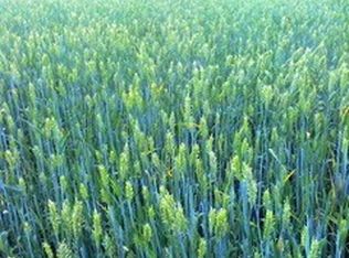 0 Lone Yew Rd, Toledo, WA 98591