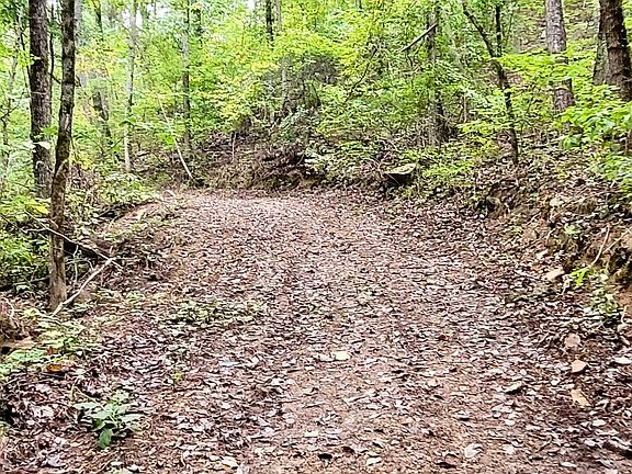 5th image of 0 County Road 581