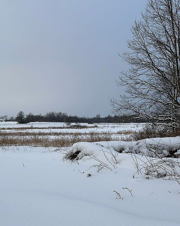 1st image of 16599 Parker Rd