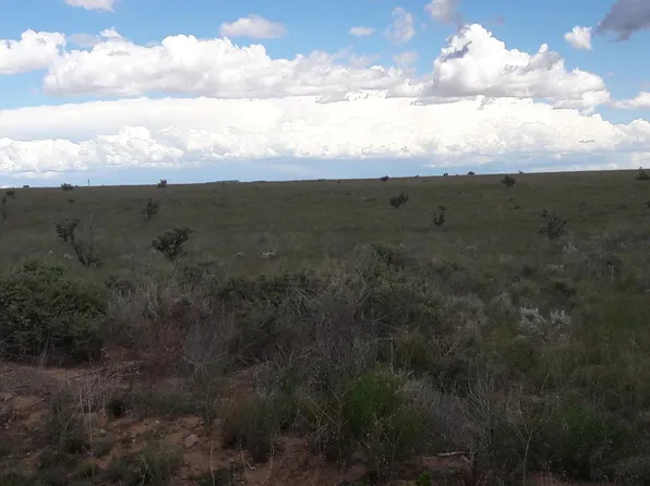 41 Camino Sol Y Paz, Stanley, NM 87056