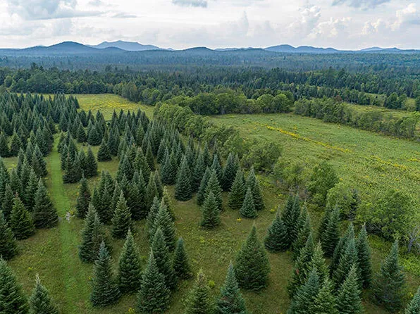 412 Nys Rte #86, Saranac Lake, NY 12983