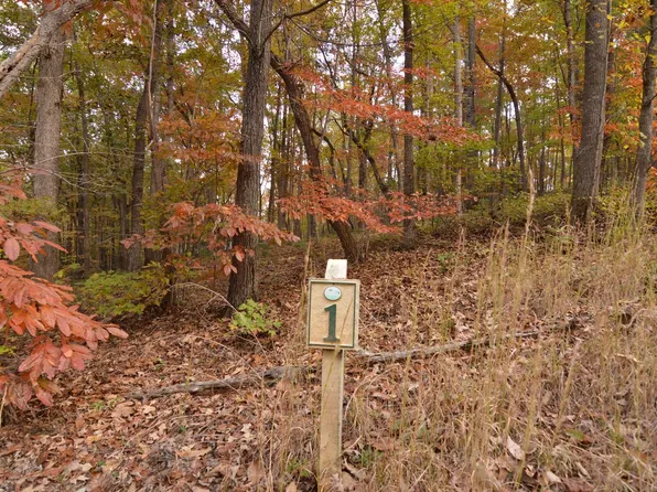 LOT 1 Serenity Ln, Blairsville, GA 30512