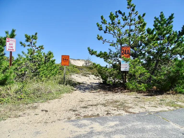 84 Osprey Rd — Photo 21