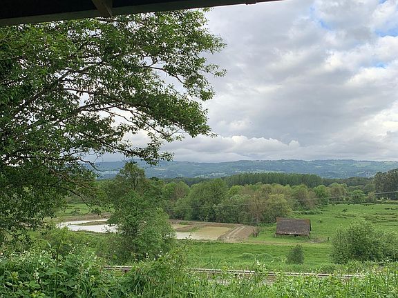 view from living room